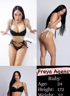 Freya Models - Agencia de putas in Dubai Photo 10 of 16