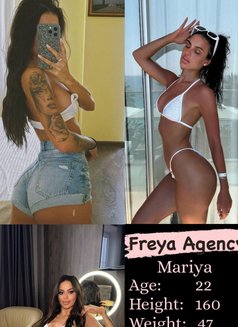 Freya Models - Agencia de putas in Dubai Photo 11 of 16