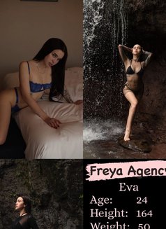Freya Models - escort agency in Dubai Photo 12 of 16