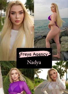 Freya Models - escort in Dubai Photo 14 of 15