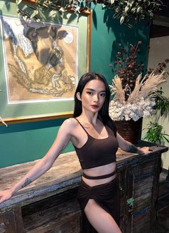 FREYA PREMIUM GFE - escort in Bali Photo 4 of 8