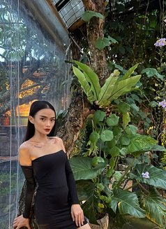 FREYA PREMIUM GFE - escort in Bali Photo 7 of 8