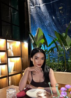 FREYA PREMIUM GFE - escort in Bali Photo 8 of 8