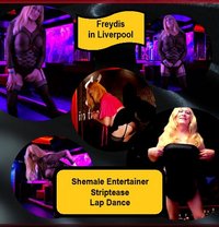 Freydis - Transsexual adult performer in Liverpool