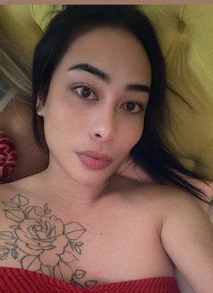 FUCK ME HARD “ Philippines” - Acompañantes transexual in Ajmān Photo 11 of 11