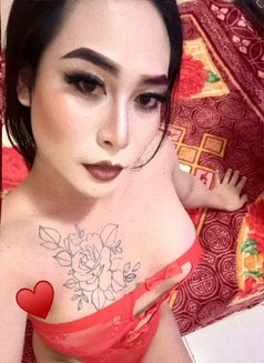 NO REGRETS! CHOOSE ME - Transsexual escort in Ajmān Photo 4 of 12