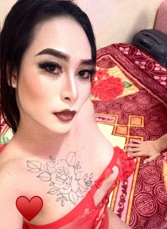 NO REGRETS! CHOOSE ME - Transsexual escort in Ajmān Photo 6 of 12
