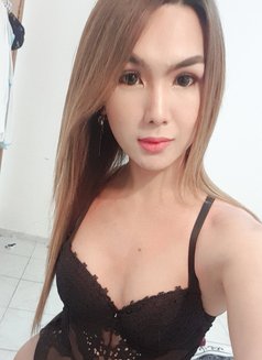 YOUNG PornStar TS AICO just landed - Transsexual escort in Angeles City Photo 23 of 29