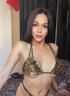 Goddess FUJIKO is new Misstress in town - Transsexual escort in Casablanca Photo 9 of 18