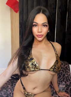 Goddess FUJIKO is new Misstress in town - Transsexual escort in Casablanca Photo 12 of 18