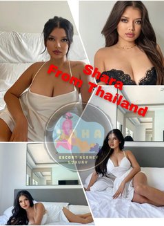Full Service Escort Service - escort in Doha Photo 5 of 9