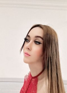 Full Service​ in seeb - Acompañantes transexual in Muscat Photo 10 of 26