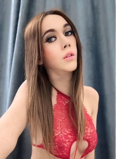Full Service​ in seeb - Acompañantes transexual in Muscat Photo 17 of 26