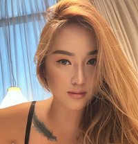 Fullfilled your fantasy ( GFE, Party ) - escort in Tokyo