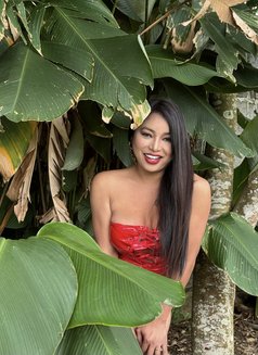 Mistress/sissytraining/cam show - Transsexual escort in Bangkok Photo 27 of 29