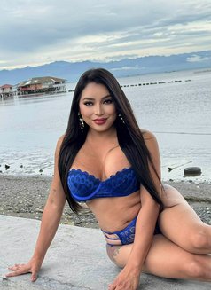 Mistress/sissytraining/cam show - Transsexual escort in Bangkok Photo 28 of 29