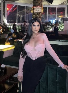 LADYBOY FULL OF CUMS W/POPPERS - Transsexual escort in Kuala Lumpur Photo 24 of 27