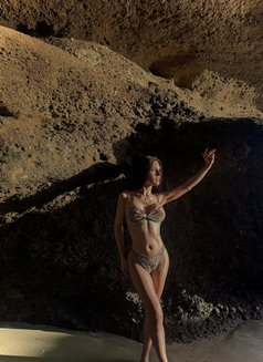 Fully functional ladyboy in Auckland - Transsexual escort in Auckland Photo 23 of 23