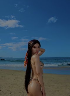 Fully functional ladyboy in Auckland - Transsexual escort in Auckland Photo 15 of 16