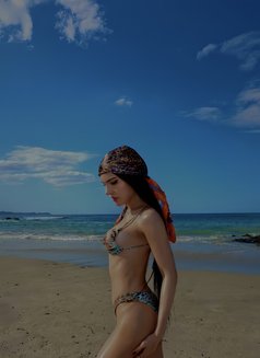 Fully functional ladyboy in Auckland - Transsexual escort in Auckland Photo 16 of 16