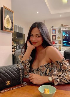 Meet and Camshow only TS Martini - Transsexual escort in Manila Photo 13 of 30