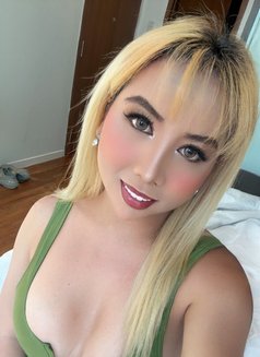 FULLY FUNCTIONAL WILD FUCKER TS - Transsexual escort in Kuala Lumpur Photo 27 of 29