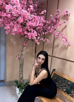 YukiFF Meet/Camshow - Transsexual escort in Manila Photo 2 of 21