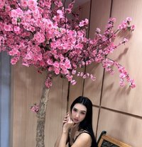 YukiFF Meet/Camshow - Transsexual escort in Manila