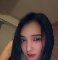 FullyFunctionalYuki (MeetUp/Camshow) - Transsexual escort in Manila
