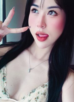 °🦋༘⋆FULSERVICE A TO Z - escort in Doha Photo 9 of 9