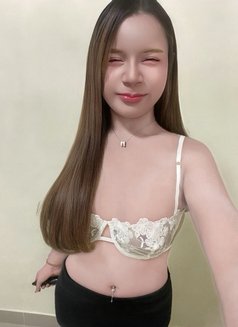 Furby Big cock good massage and service - Acompañantes transexual in Hat Yai Photo 30 of 30