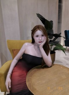 Furby Both Vvip massage and service - Transsexual escort in Bangkok Photo 27 of 30