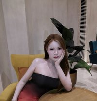 Furby Both Vvip massage and service - Transsexual escort in Hat Yai
