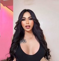 Vip Ladyboy Thailand - Acompañantes transexual in Riyadh Photo 4 of 12