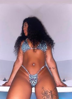 Gabi - escort in Setúbal Photo 2 of 7