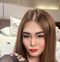 Gabriella - Acompañantes transexual in Macao