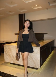 Gabriella - puta in Taichung Photo 16 of 17