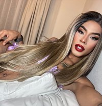 Gaby - Acompañantes transexual in Dubai