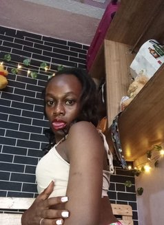 Gadiv - Acompañantes transexual in Nairobi Photo 1 of 4
