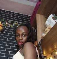 Gadiv - Transsexual escort in Nairobi