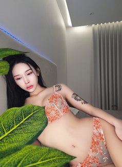 Gain Ladyboy 🇹🇭🇹🇼 - masseuse in Riyadh Photo 5 of 11