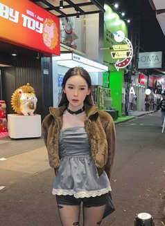 Gain Ladyboy Thailand πΉπ - Transsexual escort in Riyadh Photo 1 of 8