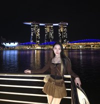 Gain Ladyboy Thailand 🇹🇭 - Transsexual escort in Riyadh