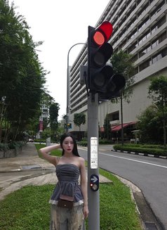 Gain Ladyboy Thailand πΉπ - Transsexual escort in Riyadh Photo 5 of 8