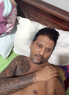 Gaiyya pussy licker - Male escort in Colombo Photo 4 of 5