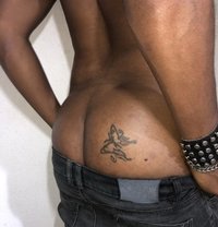 Yannick escort-boy Montréal - Male escort in Montreal