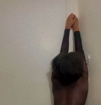 Gavi - escort in Phuket