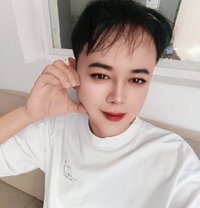 Gay Big Cock - Transsexual escort in Doha