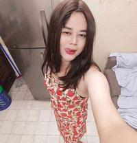 Gay Big Cock - Transsexual escort in Doha