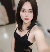 Lucky Big Cock - Transsexual escort in Doha